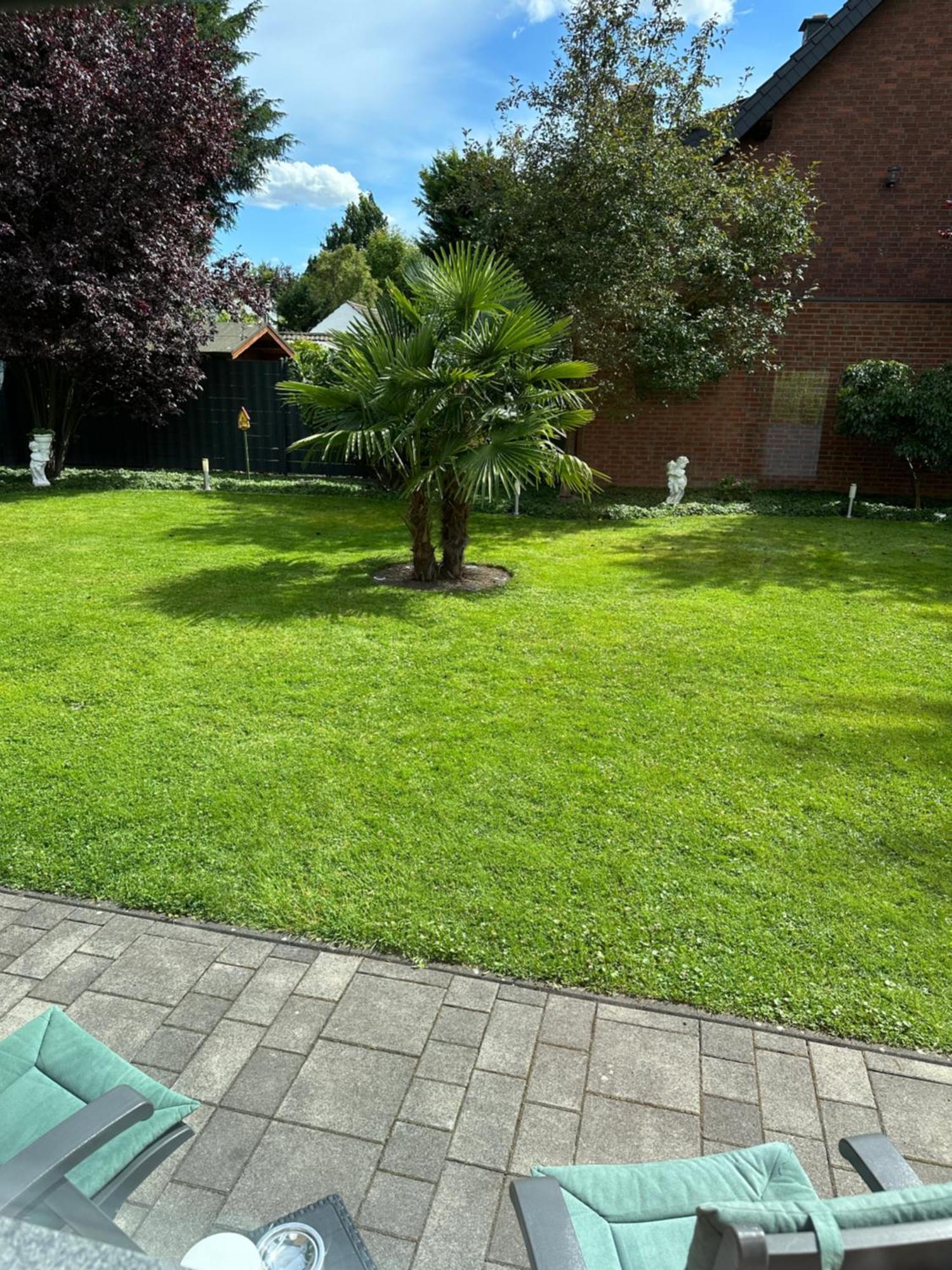 Auszeit Apartment Duesseldorf ภายนอก รูปภาพ